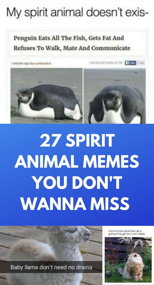 27 SPIRIT ANIMAL MEMES YOU DON'T WANNA MISS – Keyword Memes