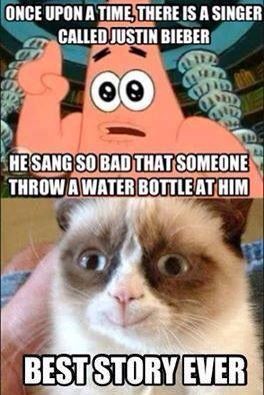 19 Cat Memes Funniest 16